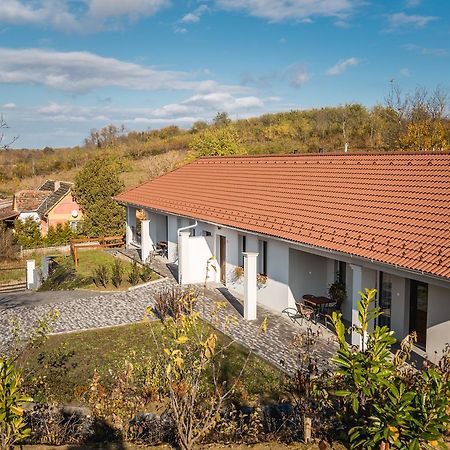 Radhe Resort Es Syam Meditacios Es Rendezvenykozpont Somogyvámos Kültér fotó